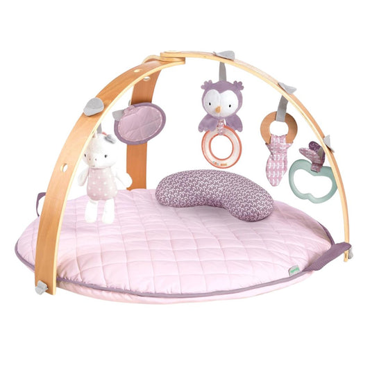 Ingenuity Cozy Spot Reversible Duvet Activity Gym - Calla