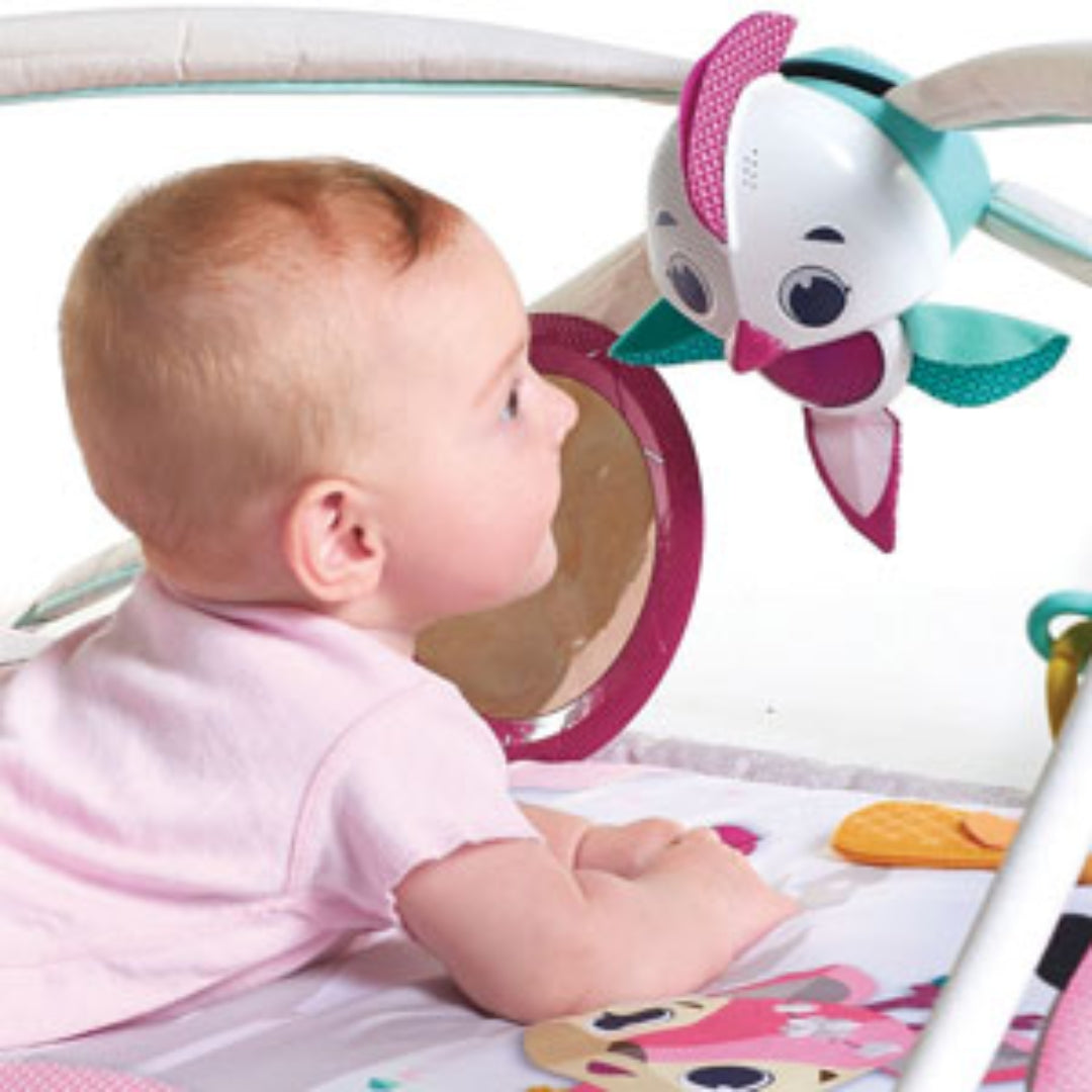 Tiny Love Gymini Deluxe Pink Baby Play Mat