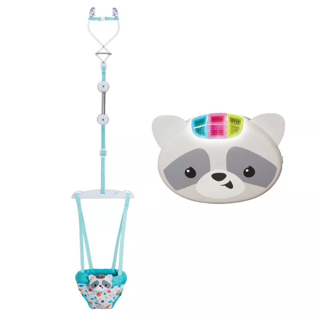 Raccoon Jumper with a hanging structure on a white background