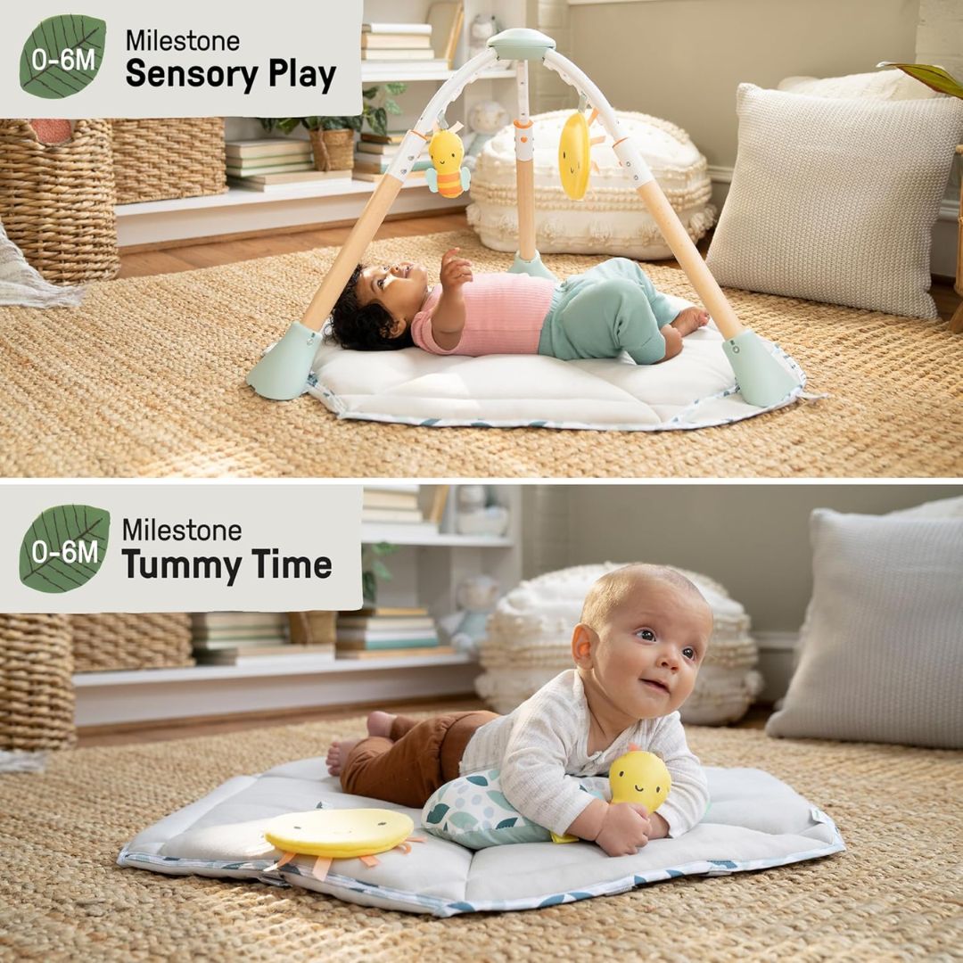 Ingenuity Tummy-to-Toes 6-in-1 Milestone Center Jumper