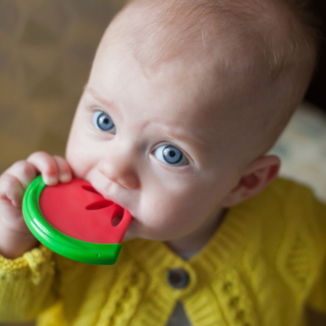 Dr. Brown's Coolees Baby Teether - Watermelon
