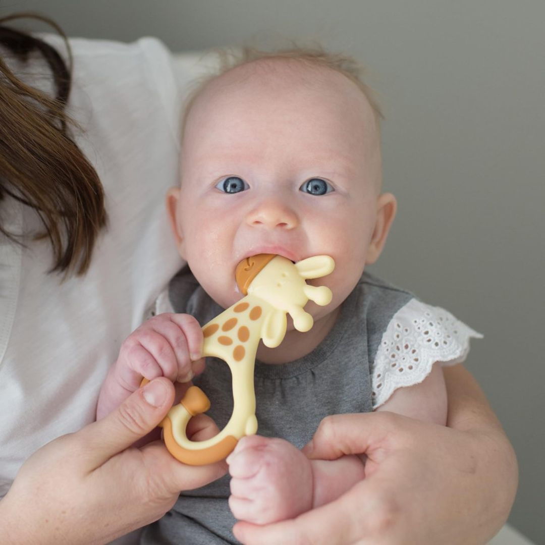 Dr. Brown’s Ridgees Massaging Baby Teether - Giraffe