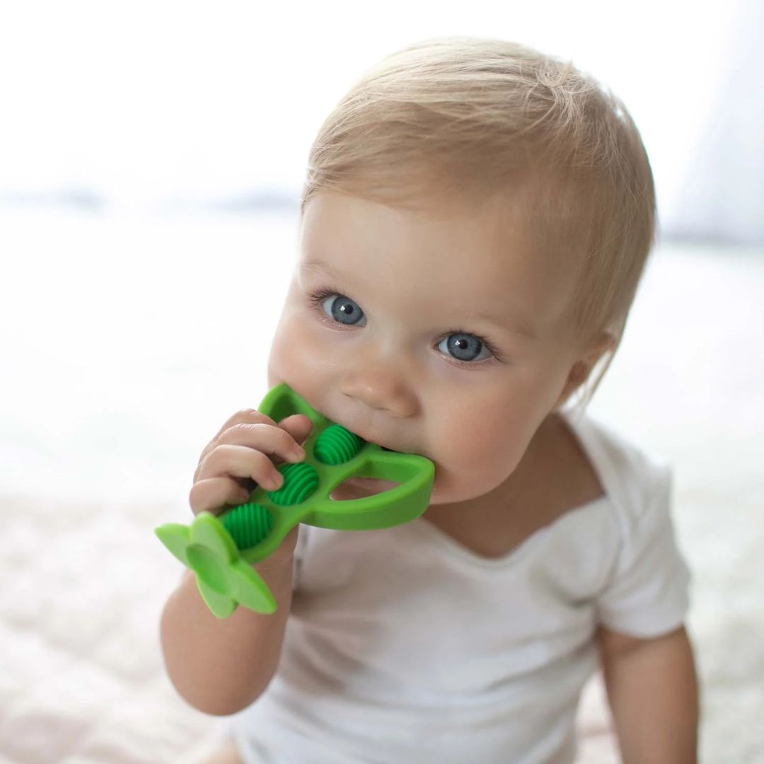 Dr. Brown’s Peapod Teether and Training Toothbrush - Green