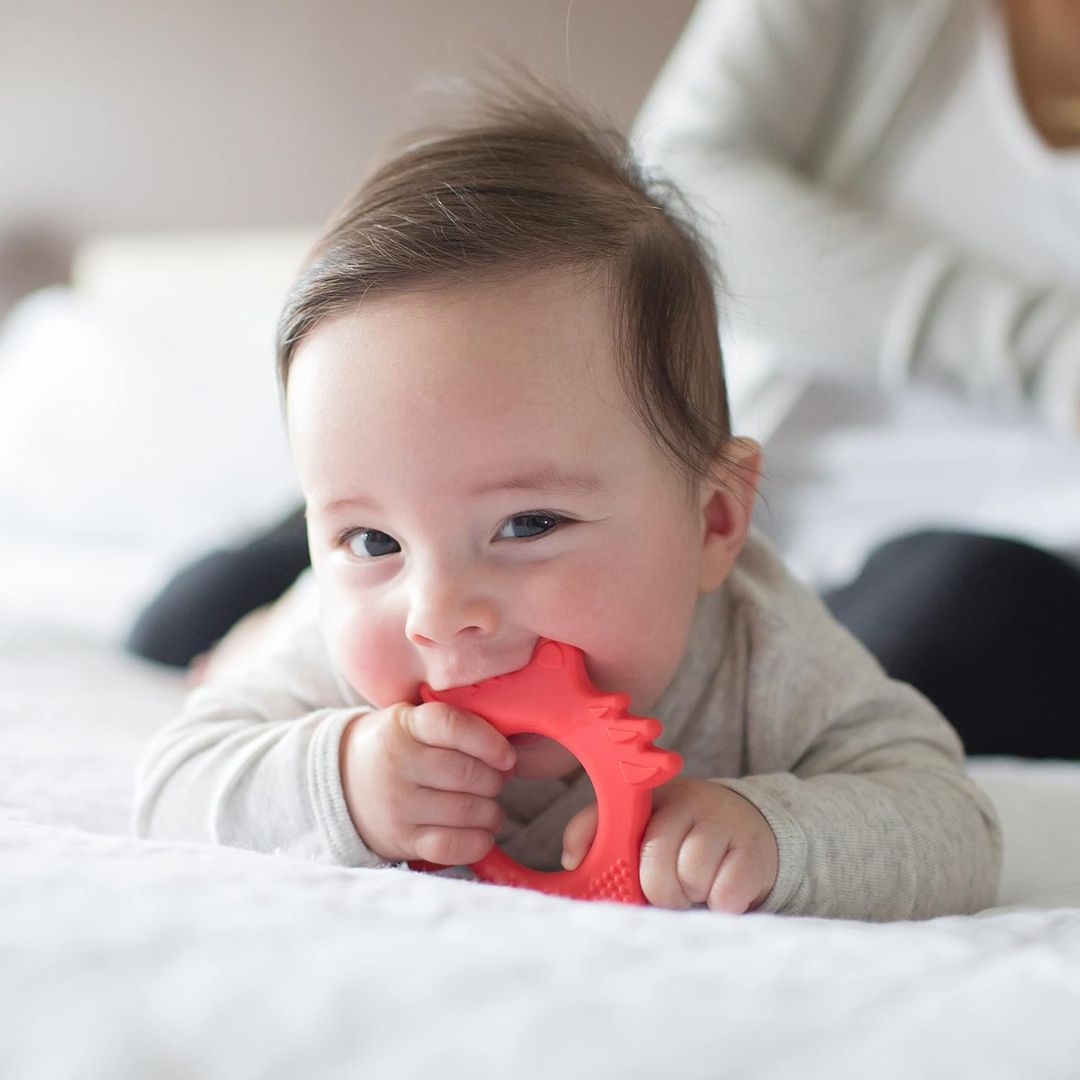 Dr. Brown’s Flexees Friends Soft Silicone Baby Teether - Fox