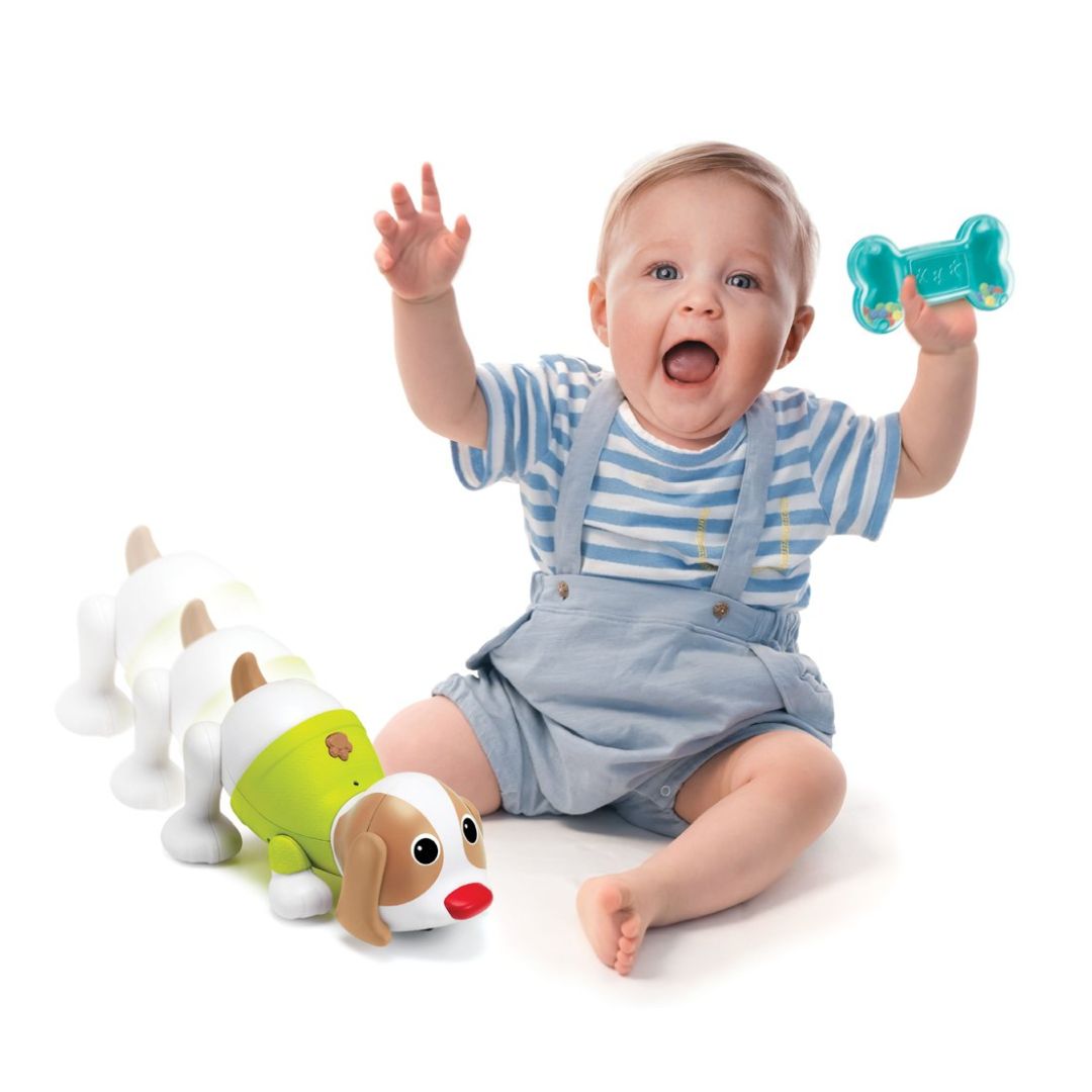Infantino Developmental Toys Dog Shake'N Slide Dance Puppy
