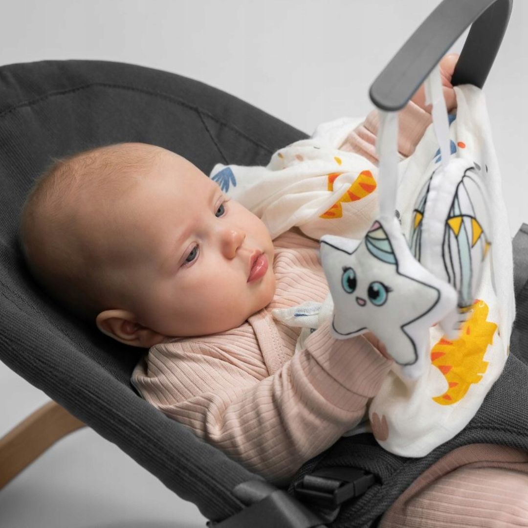 Lionelo June Air Baby Bouncer Grey Stone