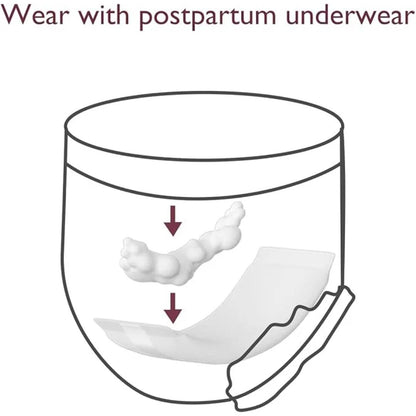 Momcozy white pospartum underwear in a white background