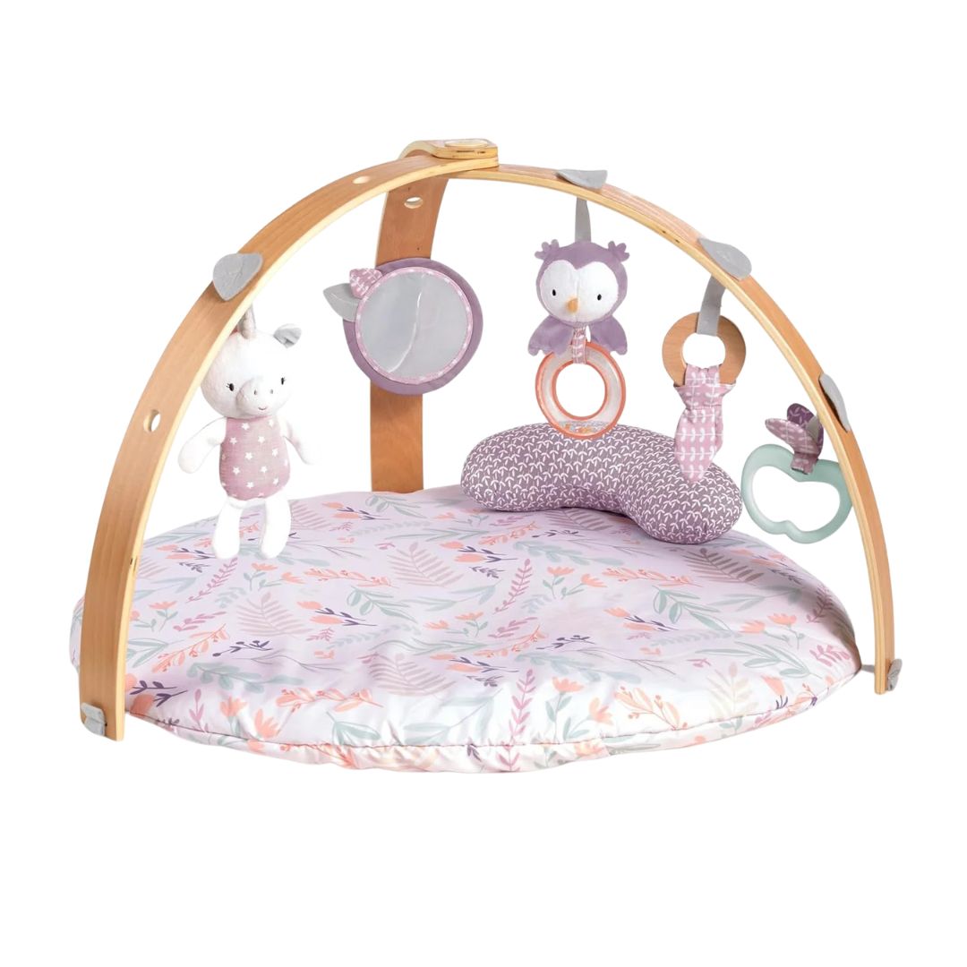 Ingenuity Cozy Spot Reversible Duvet Activity Gym - Calla