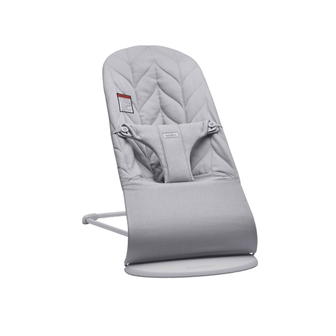 Gray BabyBjorn baby bouncer on a white background